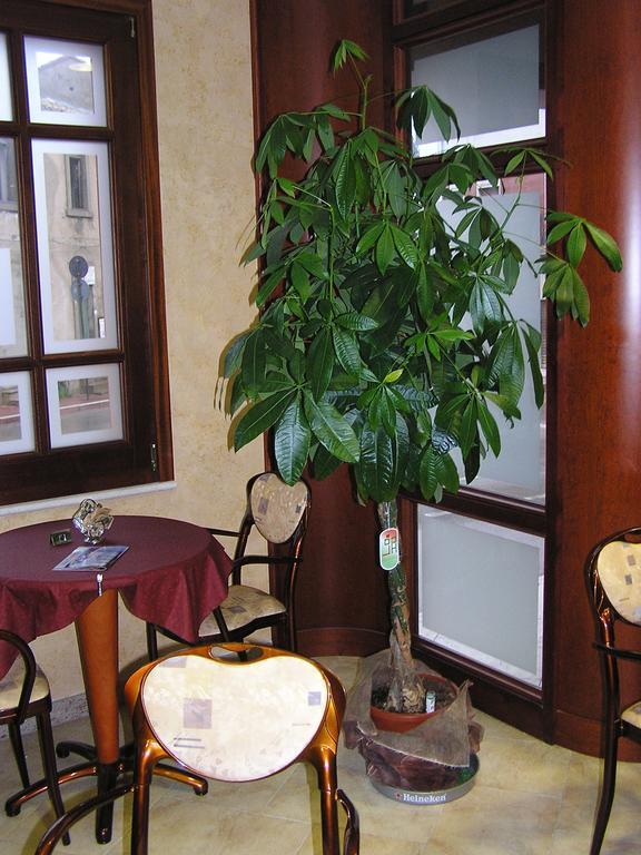 Hotel Mistral Portoscuso Ngoại thất bức ảnh